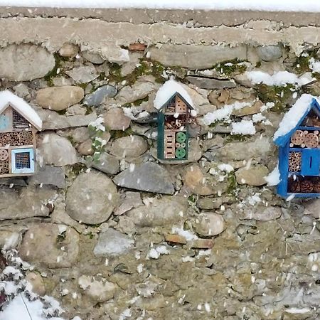 Les Copains D'Abord Villa Beaucroissant Luaran gambar