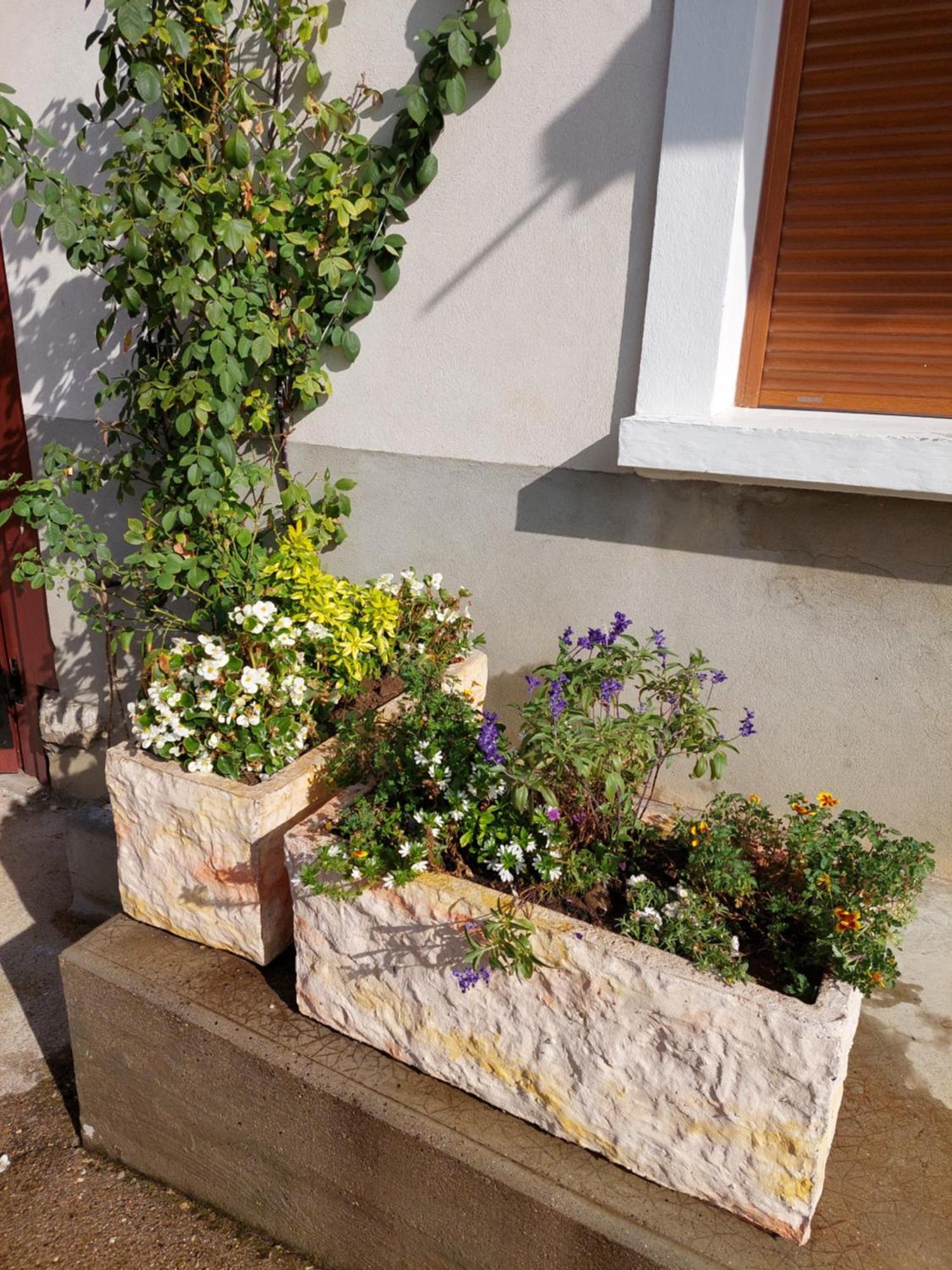 Les Copains D'Abord Villa Beaucroissant Luaran gambar