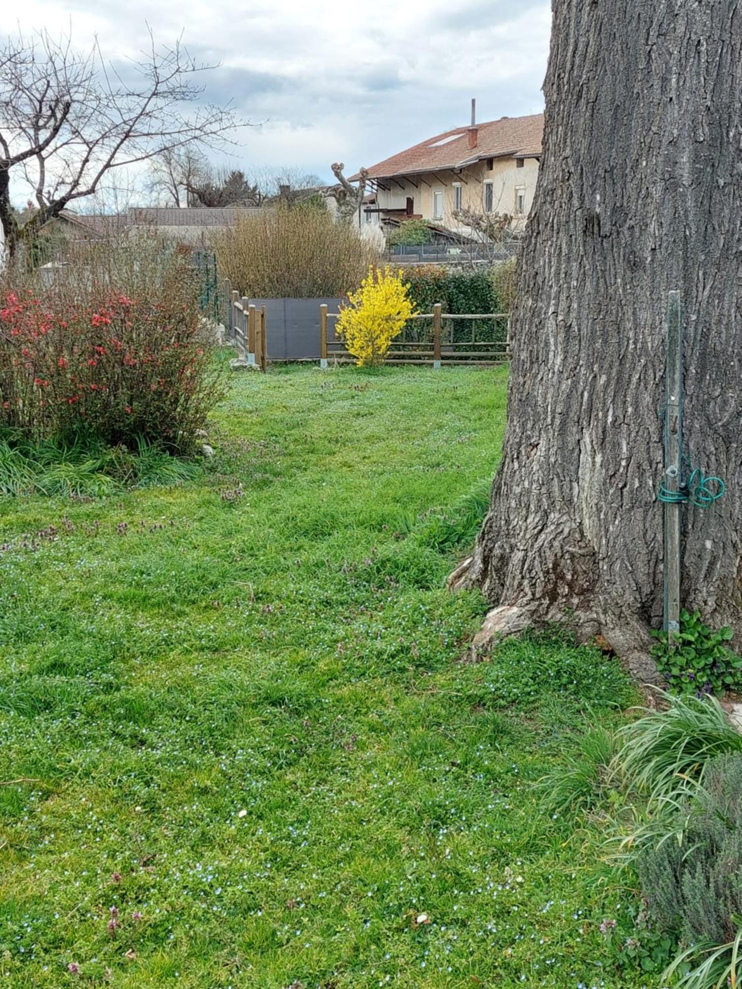 Les Copains D'Abord Villa Beaucroissant Luaran gambar