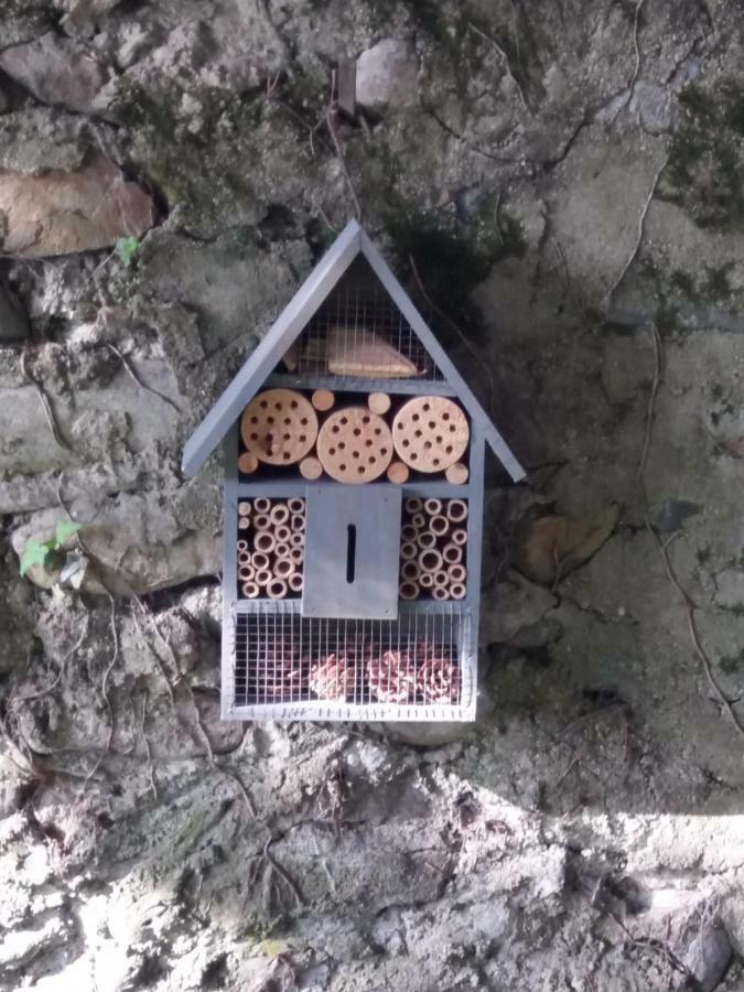 Les Copains D'Abord Villa Beaucroissant Luaran gambar